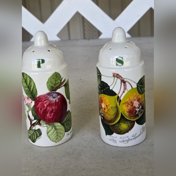 Portmeirion Other - Portmeirion.    Salt and Pepper Shakers  (OS)
